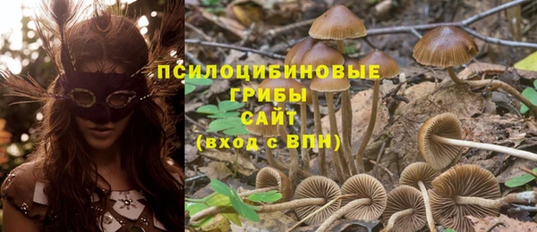 тгк Осинники
