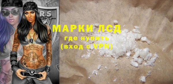 индика Нязепетровск