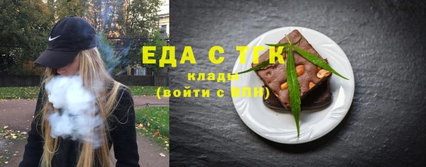 индика Нязепетровск