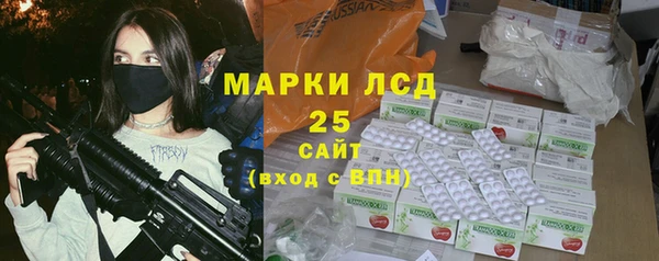индика Нязепетровск