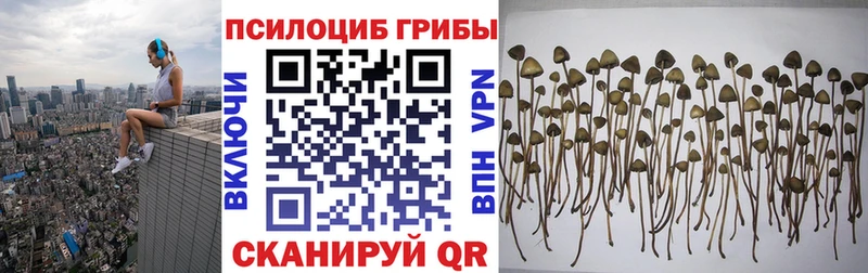 ссылка на мегу ссылка Грозный Псилоцибиновые грибы ЛСД где продают наркотики