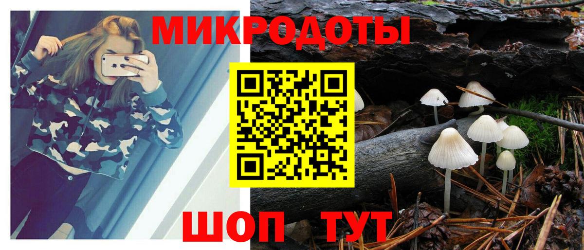Псилоцибиновые грибы мухоморы  Грозный 