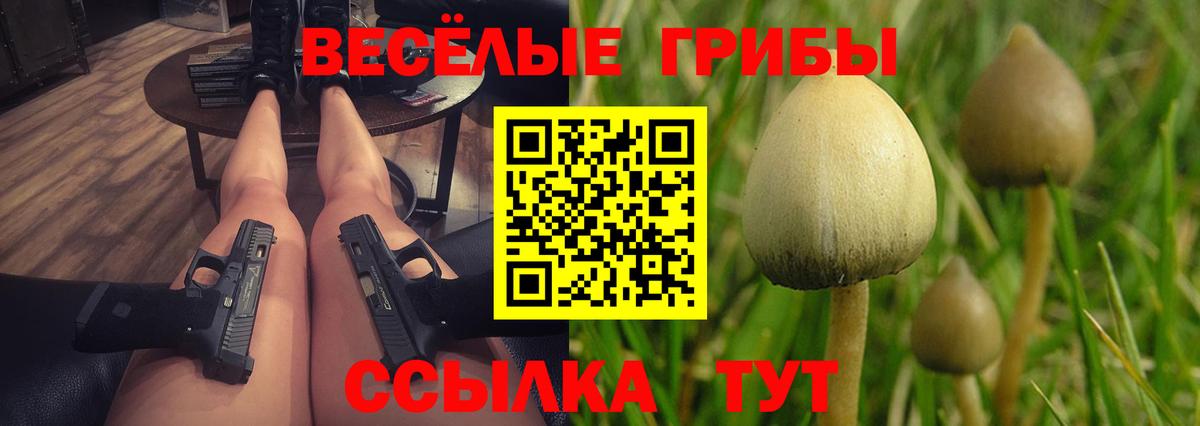 Галлюциногенные грибы GOLDEN TEACHER  Псилоцибиновые грибы Magic Shrooms  Грозный  Вход с VPN 