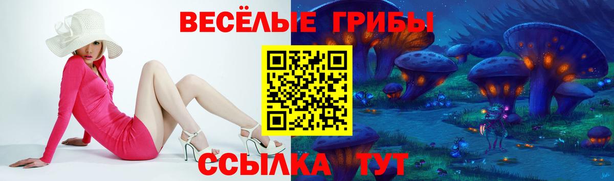 Галлюциногенные грибы GOLDEN TEACHER Грозный